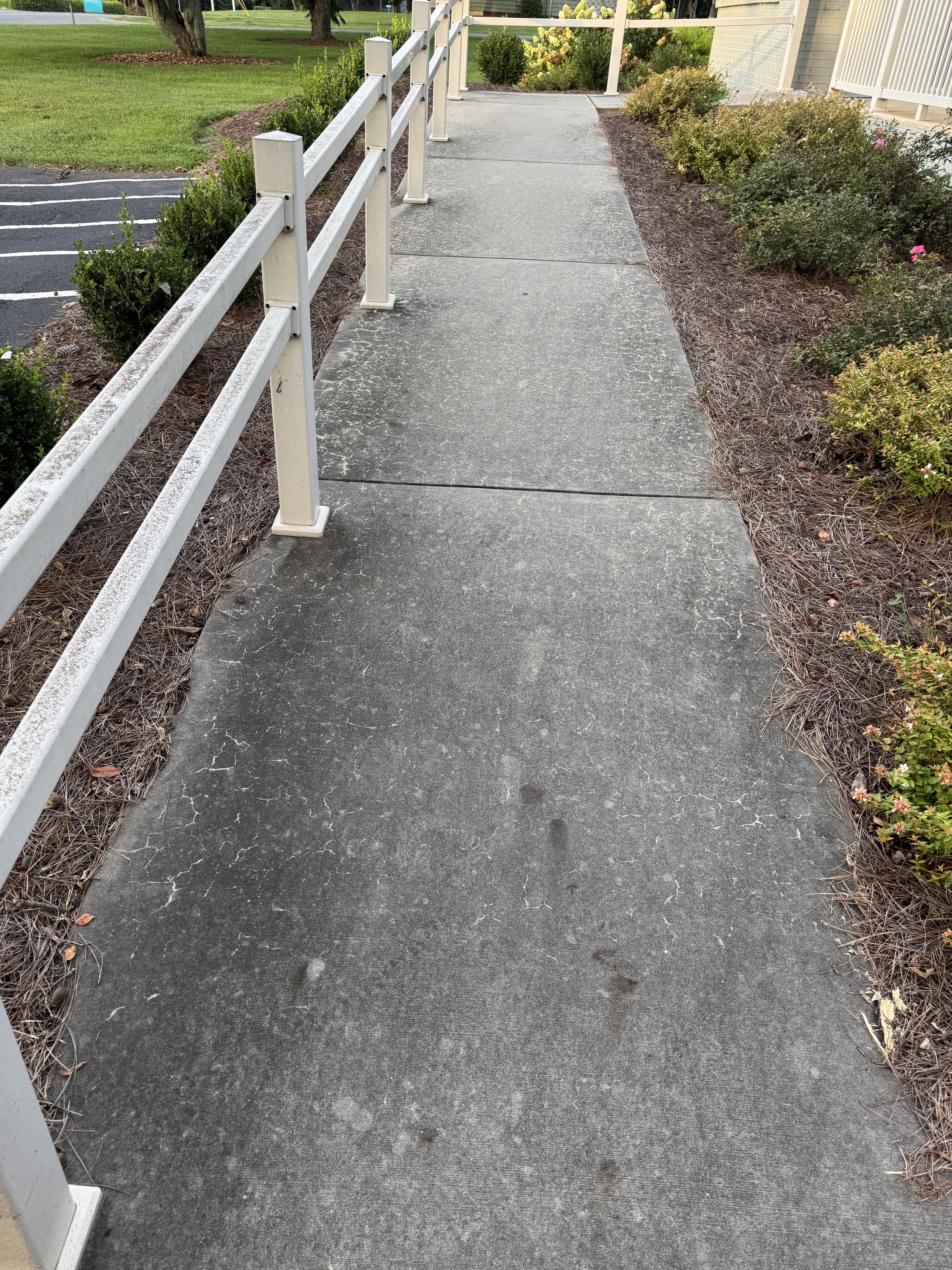 Walkway before cleaning